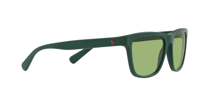 Polo Ralph Lauren PH4167 5421/2  